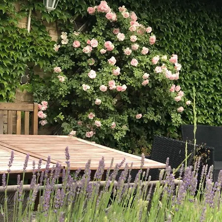 In Havel Innenstadt * Werder (Havel)