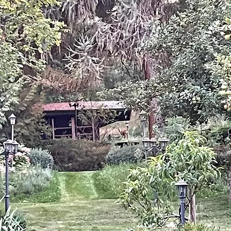 In Havel Innenstadt * 베르데르