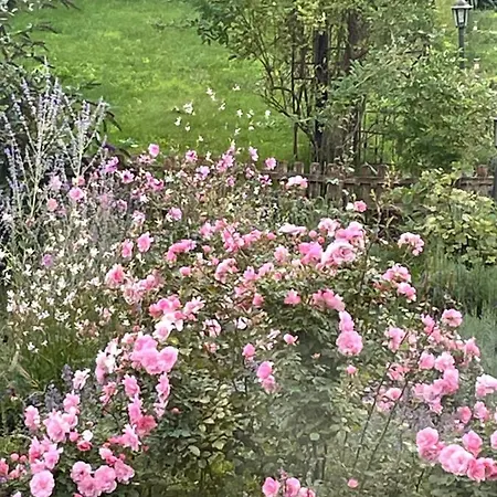 In Havel Innenstadt 아파트 베르데르