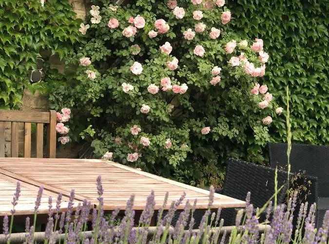 In Havel Innenstadt * Werder (Havel)