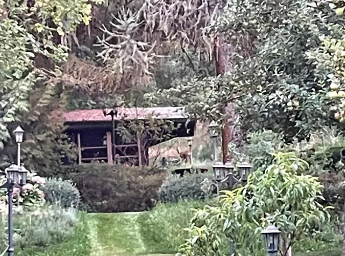 In Havel Innenstadt * Werder (Havel)