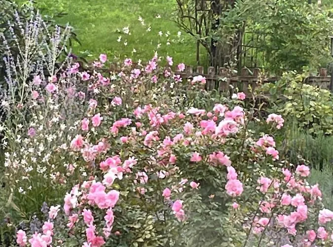 In Havel Innenstadt Appartement Werder (Havel)